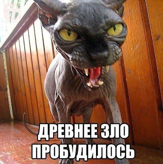 і Х днвннзпп ьидипоеь