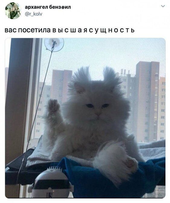 архангел беизоил г_с1 васпосетипавысшаясущность
