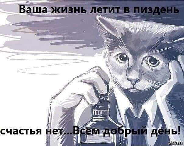 СЧВСТЬЯ