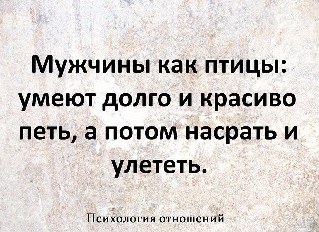 Мужчины как птицы умеют долго и красиво петь а потом насрать и улететь Психология отношений