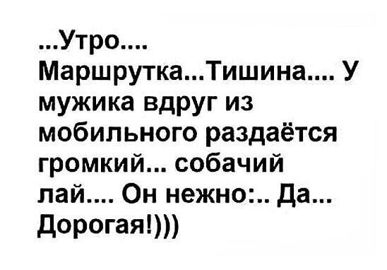 Утро МаршруткаТишина У мужика вдруг из мобильного раздаётся громкий собачий лай Он нежно да дорогая