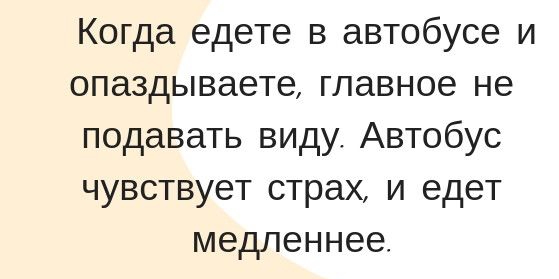 Когда едете в автобусе и опаздываете главное не подавать виду Автобус чувствует страх и едет медленнее