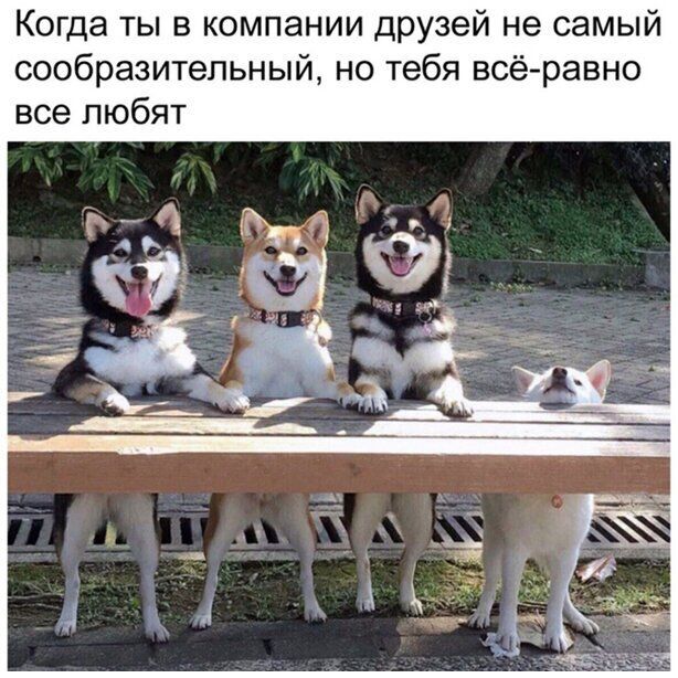 Когда ты в компании друзей не самый сообразительный но тебя всё равно все любят