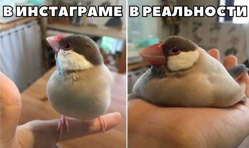Винстміэхдмв ВРЕАльноёти