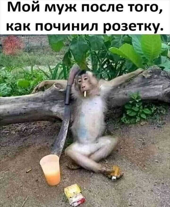 Мой муж после того как починил розетку гір