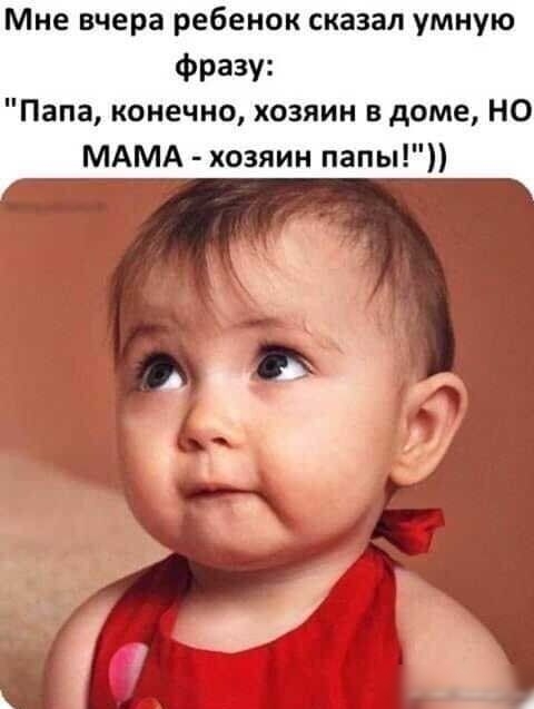 Мне вчера ребенок сказал умную Фразу Папа конечно хозяин в доме НО МАМА хозяин папы