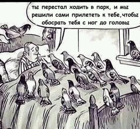 ть перестал ходить в парк и мы решили сами прилететь к тебечтобь1 обосрать тебя иог до головы щ