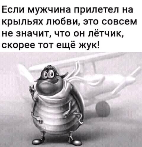 Если мужчина прилетел на крыльях любви это совсем не значит что он лётчик скорее тот ещё жук