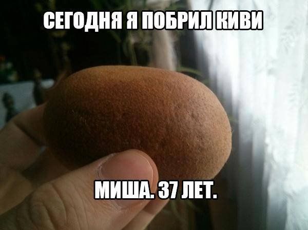 сноднп я пібвгип ШШШ МИША 31 ЛЕТ