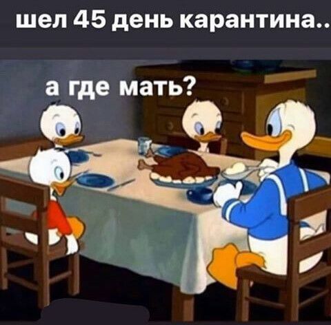 шел 45 день карантина а где мать и _ОО
