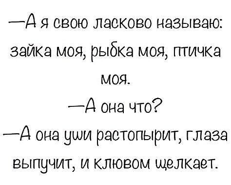 Д я свою ласково называю зайка моя рыбка моя птичка моя А она что Д она уши раотопырит глаза выпучит и клювом щелкает