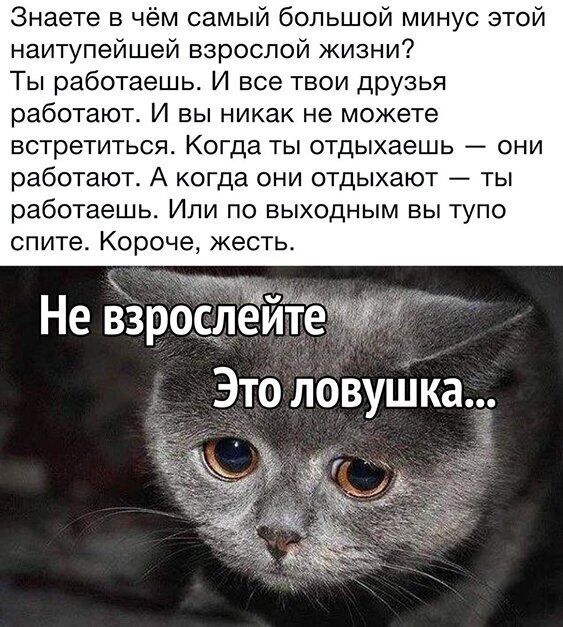Знаете в чём самый большой минус этой наитупейшей взрослой жизни Ты работаешь И все твои друзья работают И вы никак не можете встретиться Когда ты отдыхаешь они работают А когда они отдыхают ты работаешь Или по выходным вы тупо спите Короче жесть