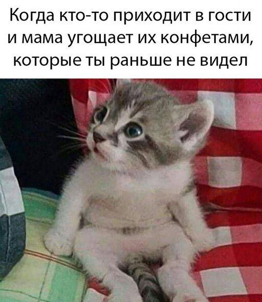 Когда КТО ТО ПРИХОДИТ В ГОСТИ И мама УГОЩЭЕТ ИХ конфетами КОТОРЫЕ ТЫ раньше не ВИДЕЛ