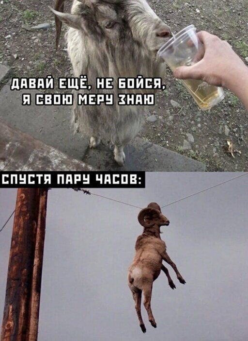 ППНЕТП ППРЁЧПЕПВ