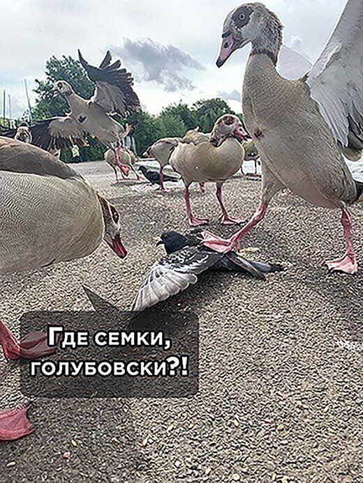 К С В О Б У _Л О г