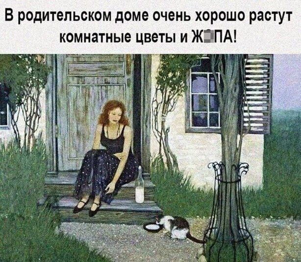 В родительском доме очень хорошо растут комнатные цветы и ЖЗПА