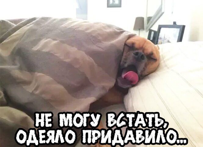 НЕ МОГУ ЬбТАТЬ ОАЕЯАО ПРИААБИАО