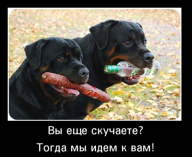 Вы еще скучаете Тогда мы идем к вам