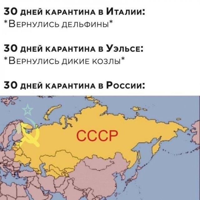 30 дней КАРАНТИНА в ИТАлии ВЕРнулись ДЕЛЬФИНЫ 30 дней КАРАНТИНА в Уэльсе Вернулись дикие козлы 30 дней КАРАНТИНА в России