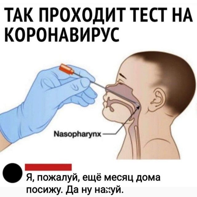 ТАК ПРОХОДИТ ТЕСТ НА КОРОНАВИРУС _ Я пожалуй ещё месяц дома посижу да ну нахуй