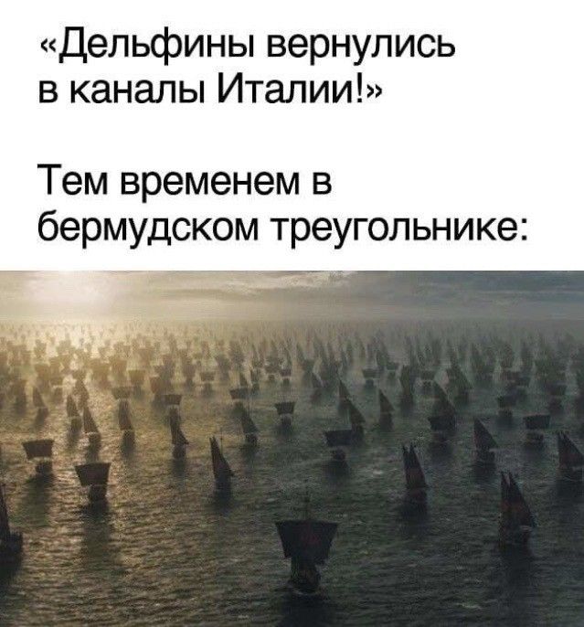 Дельфины вернулись в каналы Италии Тем временем в бермудском треугольнике
