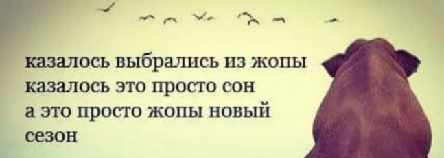 казалось выбрались из жопы казалось это просто сон а это просто жопы новый сезон