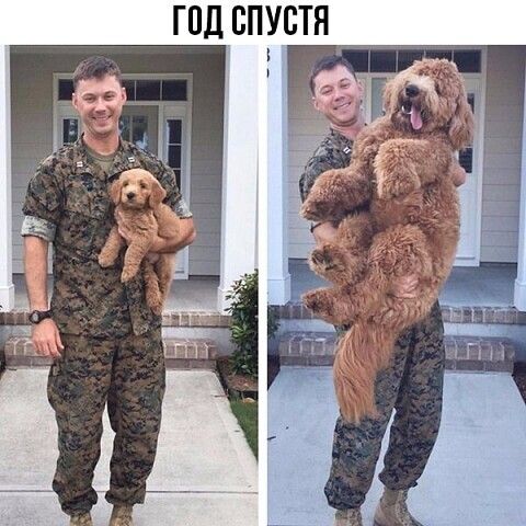 ГПД СПУСТЯ