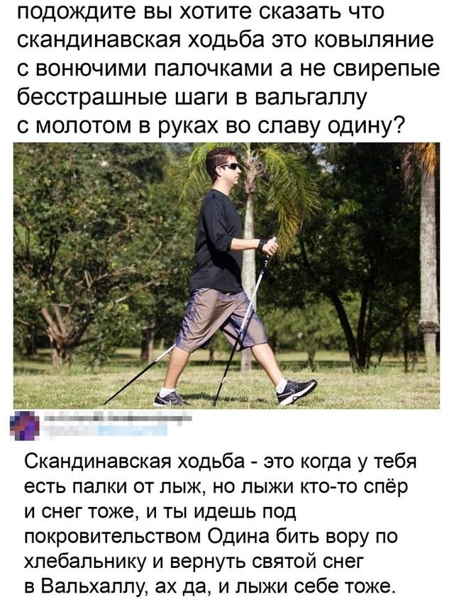 подождите вы хотите сказать что скандинавская ходьба это ковыпяние с вонючими палочками а не свирепые бесстрашные шаги в вальгаллу с молотом в руках во славу одину Скандинавская ходьба это когда у тебя есть палки от пыж но лыжи кто то спёр и снег тоже и ты идешь под покровительством Одина бить вору по хлебальнику и вернуть святой снег в Вальхаплу ах да и лыжи себе тоже