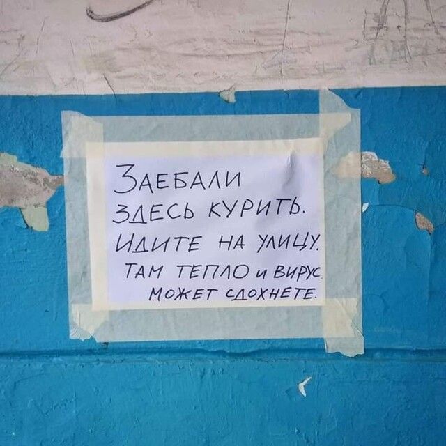 ИДИТЕ НА УАИЦХ ТАН ТЕПЛО и вирус МОЖЕГ САОХЁЕТЕ А 43 _