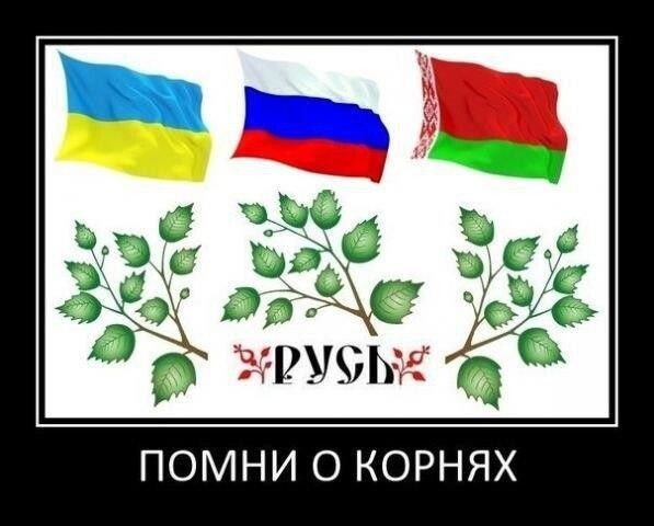 ПОМНИ О КОРНЯХ