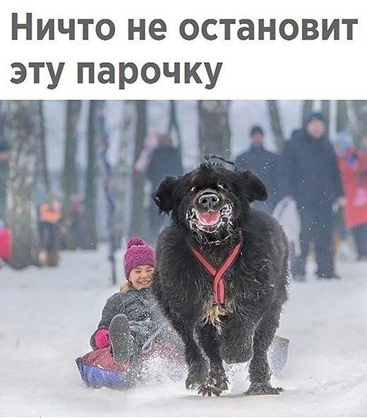 Ничто не остановит эту парочку