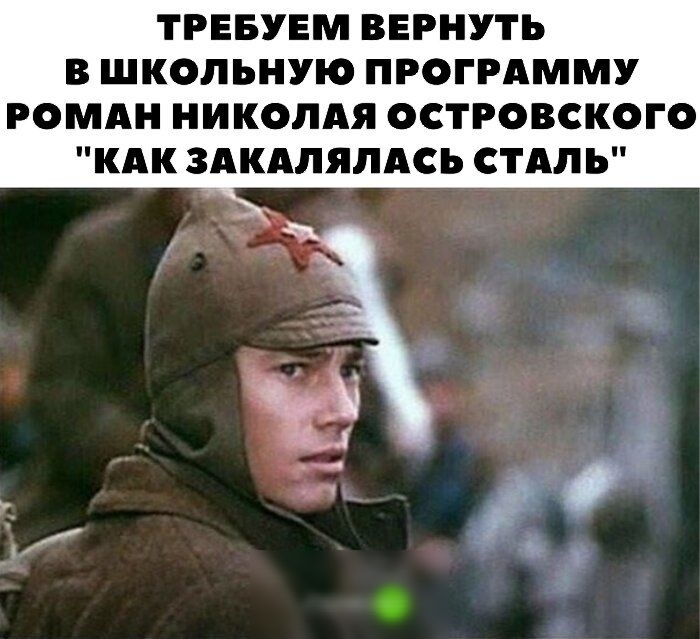 ТРЕБУЕМ ВЕРНУТЬ В ШКОЛЪНУЮ ПРОГРАММУ РОМАН НИКОЛАЯ ОСТРОВСКОГО КАК ЗАКАПЯЛАСЪ СТАЛЬ