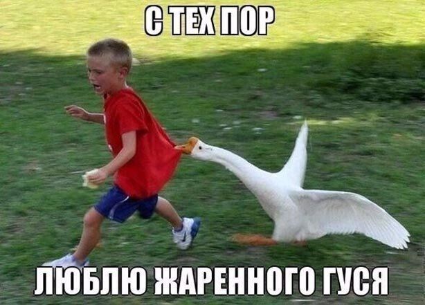 птпю ждгъннпш птн