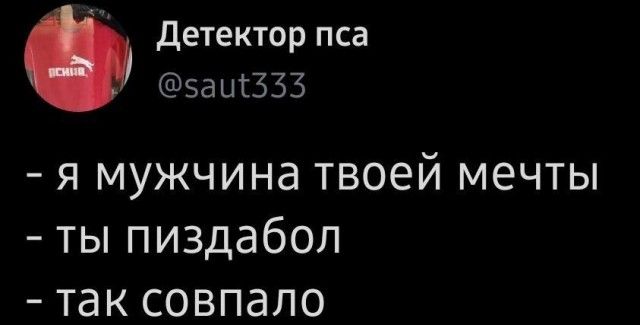 Детектор пса заыгЗЗЗ я мужчина твоей мечты ты пиздабол так совпало