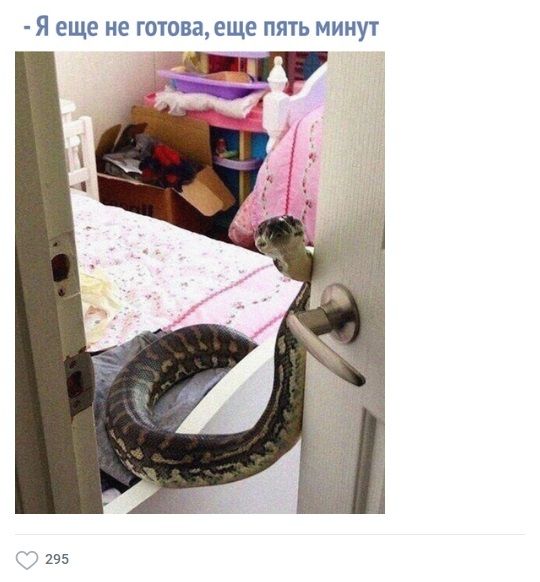 17195