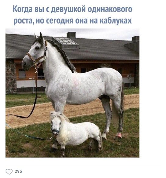 КОГДЗ ВЫ СДЕБУШКОЙ ОДИНЗКОВОГО роста НО СЕГОДНЯ она на каблуках 295