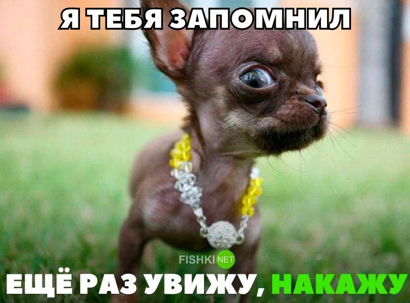Мин ЕЩЁ РАЗ УВИЖУ