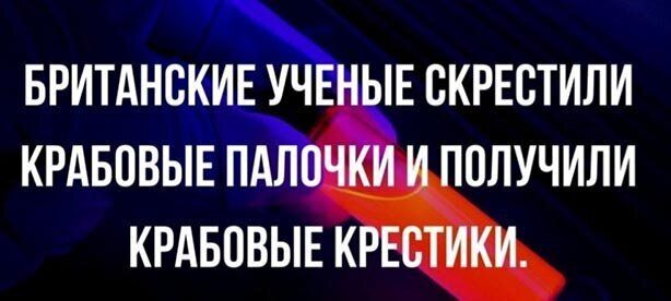 БРИТАНСК ИЪК Е СКРЕСТИЛИ КРАБОВЫЕ ПА ЧИИ И ПОЛУЧИЛИ КРАБОВЫЕ КРЕСТИКИ