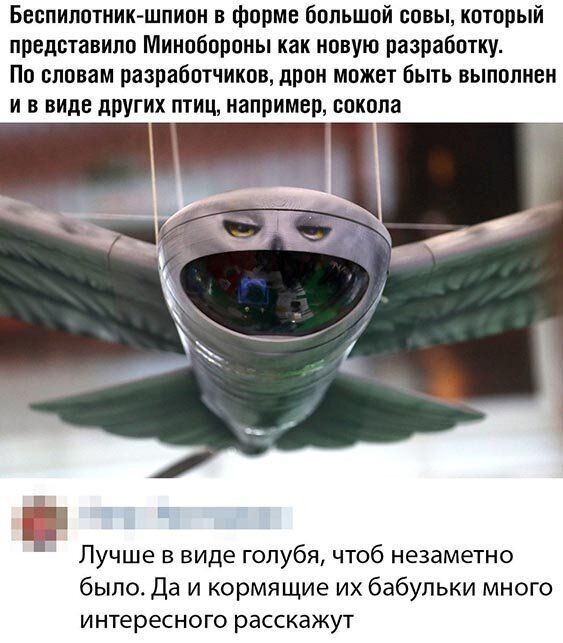 Беопипотник шпион в форме большой совы который представило Минобороны как новую разработку По словам разработчиков дрон может быть выполнен и в виде других птиц например сокола Лучше в виде голубя чтоб незаметно было Да и кормящие их бабульки много интересного расскажут