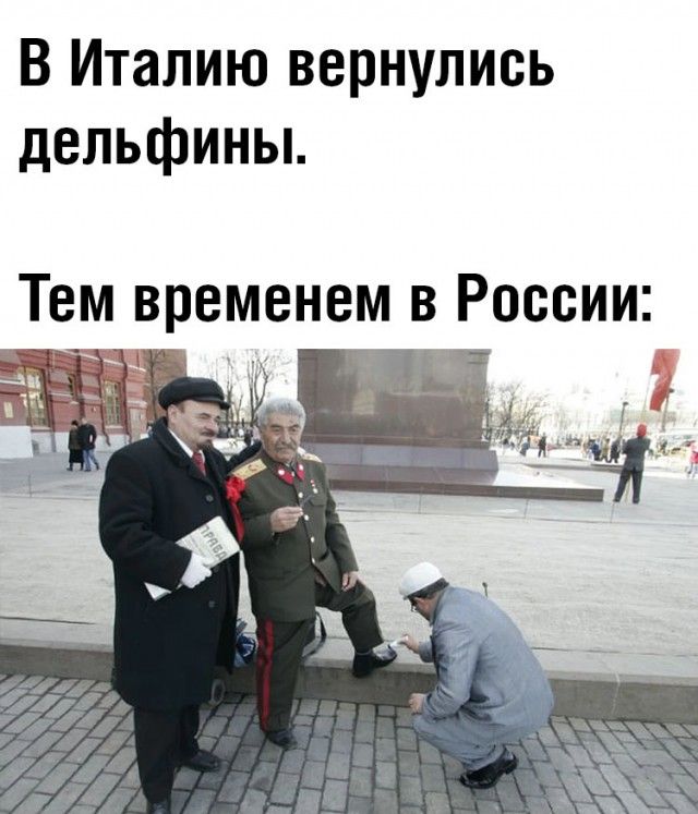 В Италию вернулись дельфины Тем временем в России
