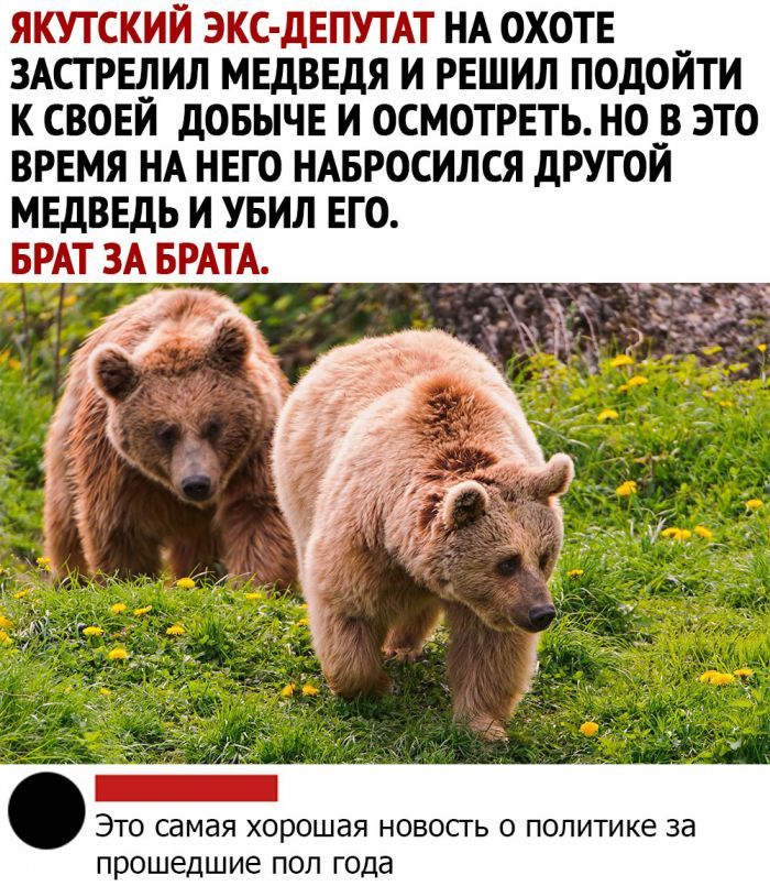 ЯКУТСКИЙ ЭКС ДЕПУТАТ НА ОХОТЕ __ ЗАСТРЕДИЛ МЕДВЕДЯ И РЕШИЛ ПОДОИТИ К СВОЕИ ДОБЫЧЕ И ОСМОТРЕТЬ НО__В ЭТО ВРЕМЯ НА НЕГО НАБРОСИЛСЯ ДРУГОИ МЕДВЕДЬ И УБИЛ ЕГО БРАТ ЗА БРАТА ЭТО самая ХОРОШдЯ НОВОСТЬ О ПОЛИТИКЭ за прошедшие ПОЛ года