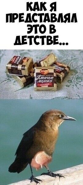 КАК Я ПРЕДСТАВАЯА ЭТО В АЕТСТВЕ