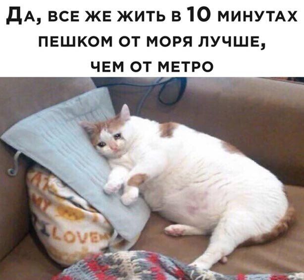 ДА всв ЖЕ жить в 10 минумх пешком от моря лучше чвм от МЕТР9_