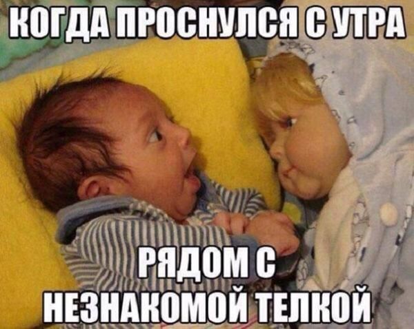 Мит пп