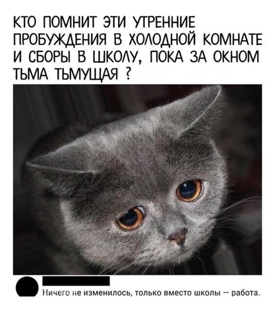 кто помнит эти УТРЕННИЕ провуждвния в хоюдной КОМНАТЕ и СБОРЫ в ШКОАУ ПОКА ЗА окном тьмд тьмуция Ничеш не изменилось только вместо школы работа