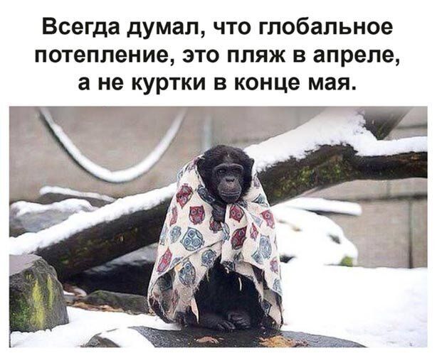 Всегда думал что глобальное потепление это пляж в апреле а не куртки в конце мая Т