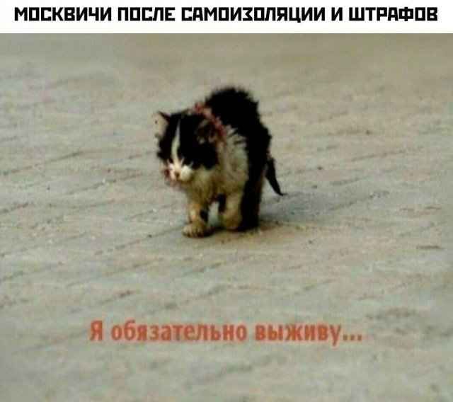 МПСКВИЧИ ППЕПЕ ЕдМПИЗПЛПЦИИ И ШТРПФПВ И обязательно выживу