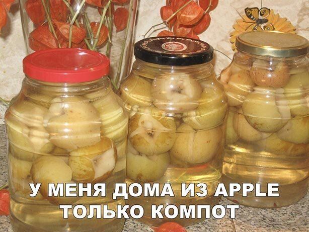 17 ЕНЯ домд из Агрц аліьк компёбт У МТ