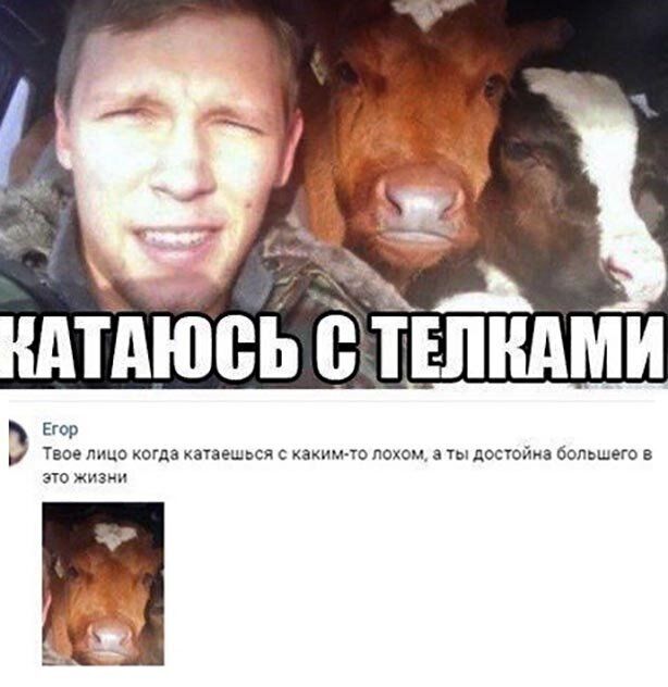 Егор Э ТВОЁ ПИЦ0 КОГДЗ катаешься С каким ю ПОХОМ 3 Ты ПОСОЙИЗ бОПЬШеГО В это жизни