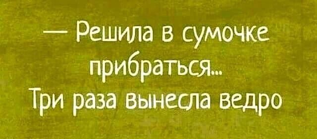 Решила в сумочке прибраться Три раза вынесла ведро